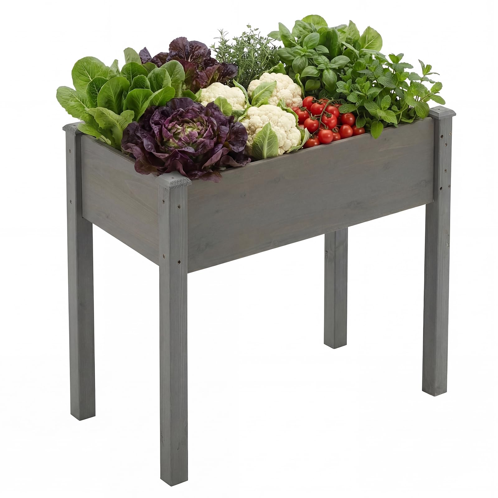 DUMOS Raised Garden Bed
