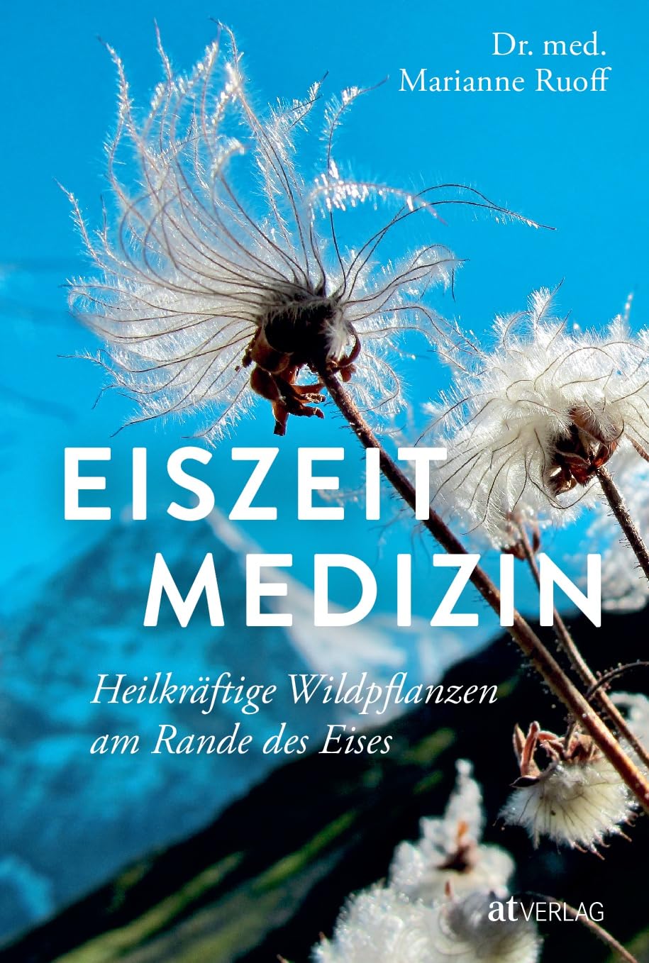 Eiszeitmedizin: Heilkräftige Wildpflanzen am Rande des Eises