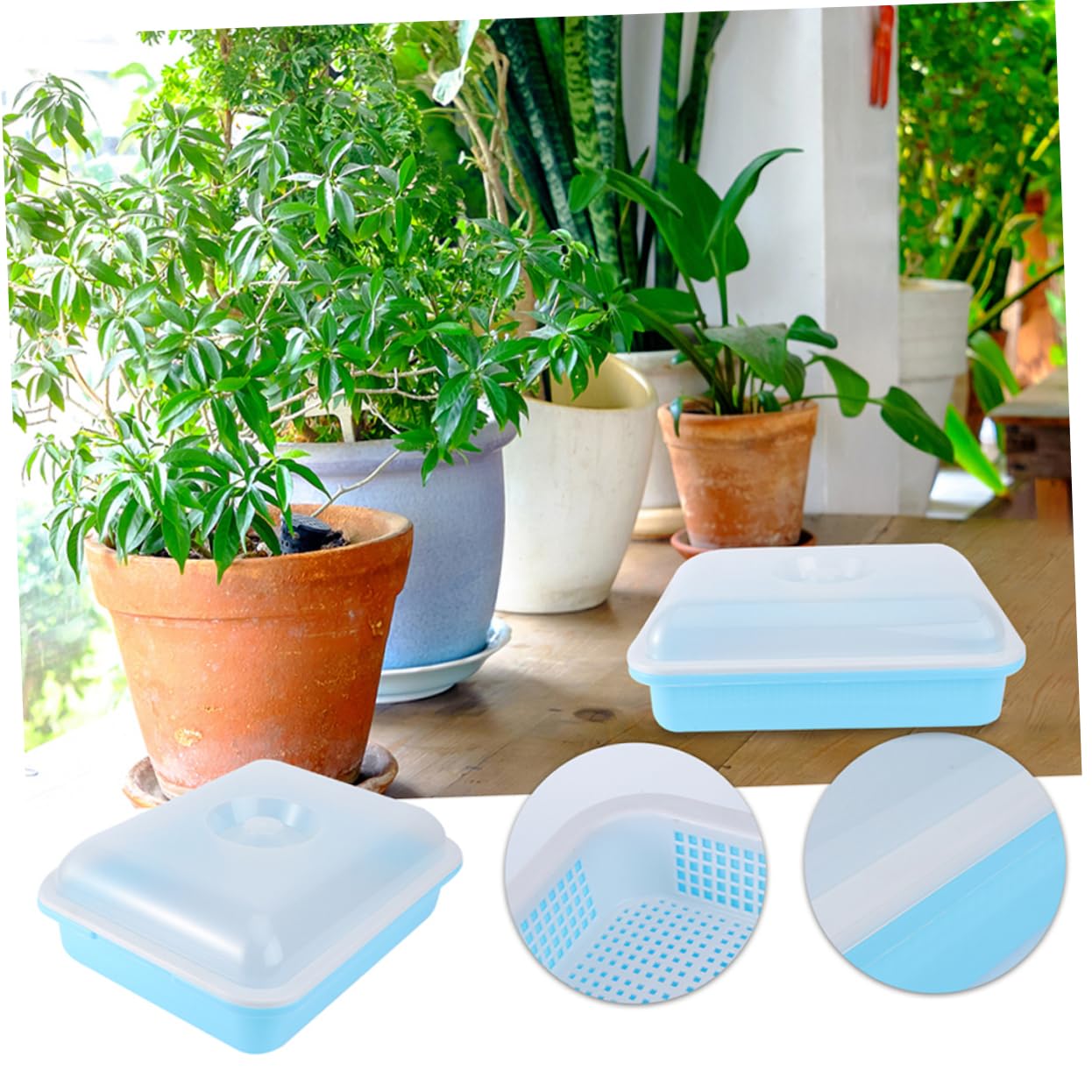 TOYANDONA 2 Juegos Bandejas de Germinación para Plántulas con Tapa para Cultivos de y Huertos y para Interiores y Exteriores para Mung Bean y Frijoles