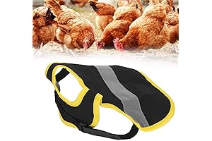 Savior of Hen's Plumage: Poultry Hen Saddle Apron