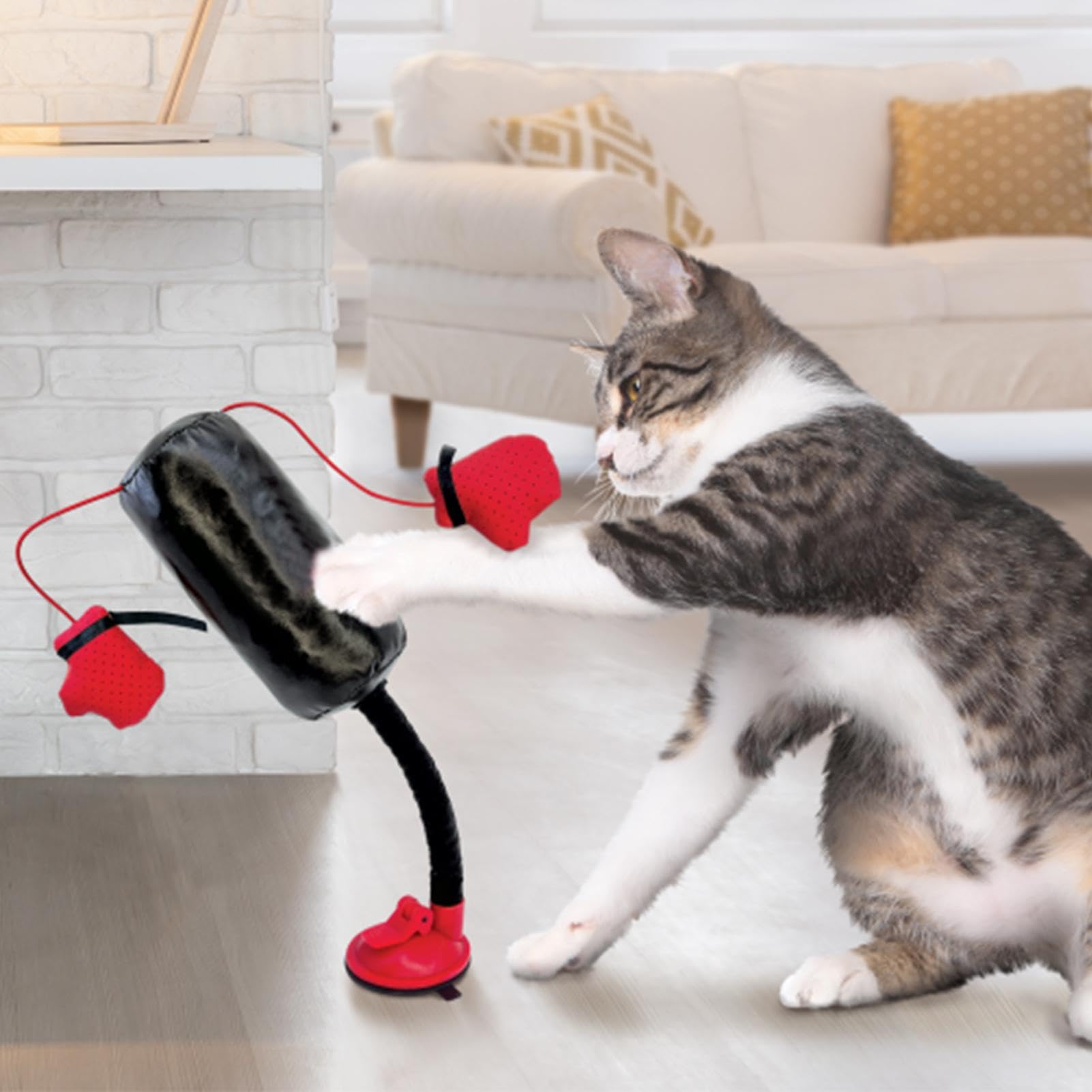 Amazon.co.jp: 猫ボクシング サンドバッグ - インタラクティブな猫