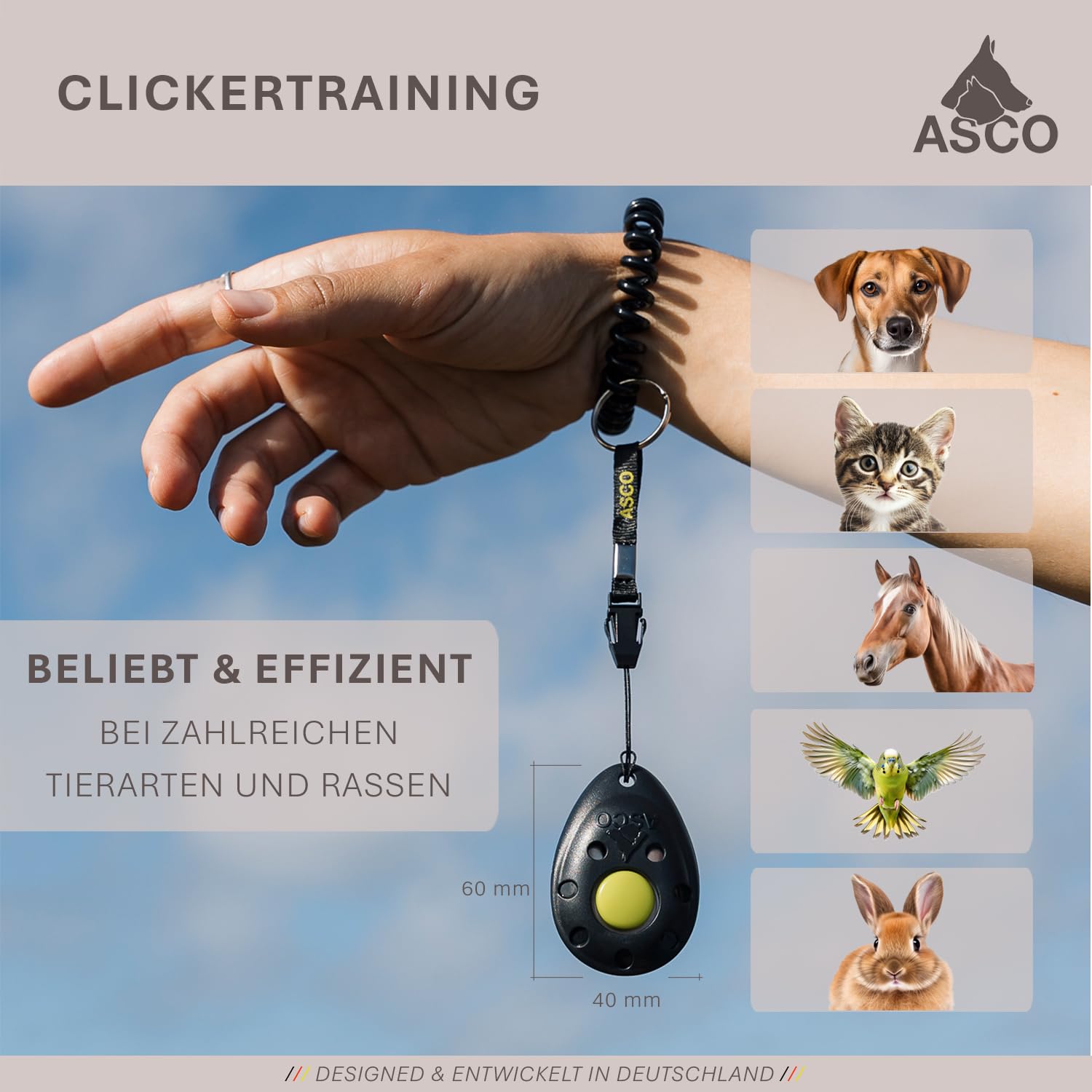 ASCO Finger Clicker, clicker Haut de Gamme pour Le Dressage au clicker, Chiens, Chats, Chevaux, clicker Professionnel, clicker pour Le Dressage des Chiens, Noir AC01F
