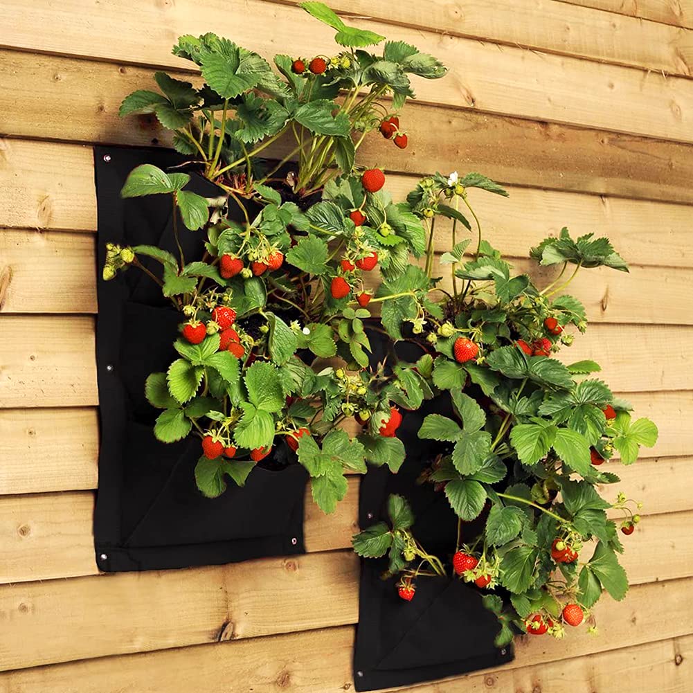 Kit completo per giardino verticale da 2 pezzi, 36 tasche – Feltro biodegradabile – Per giardinaggio sostenibile e decorazioni naturali | Leroy Merlin