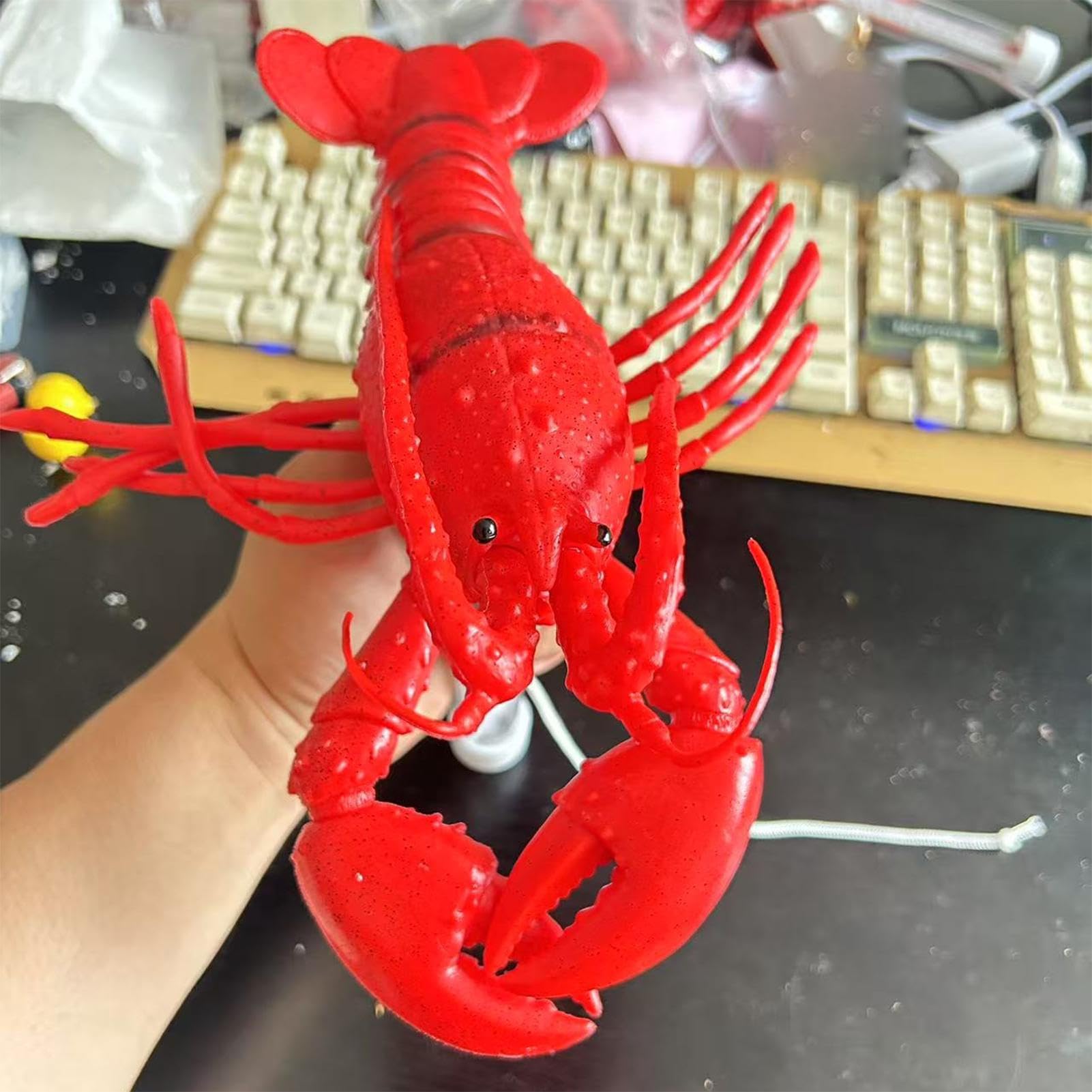 Thermomètre De Piscine Flottant À Lecture Facile Pour La Température De