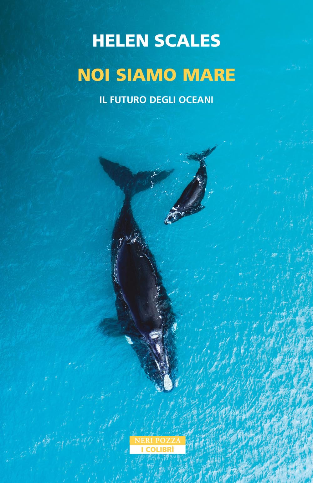 Noi siamo mare. Il futuro degli oceani