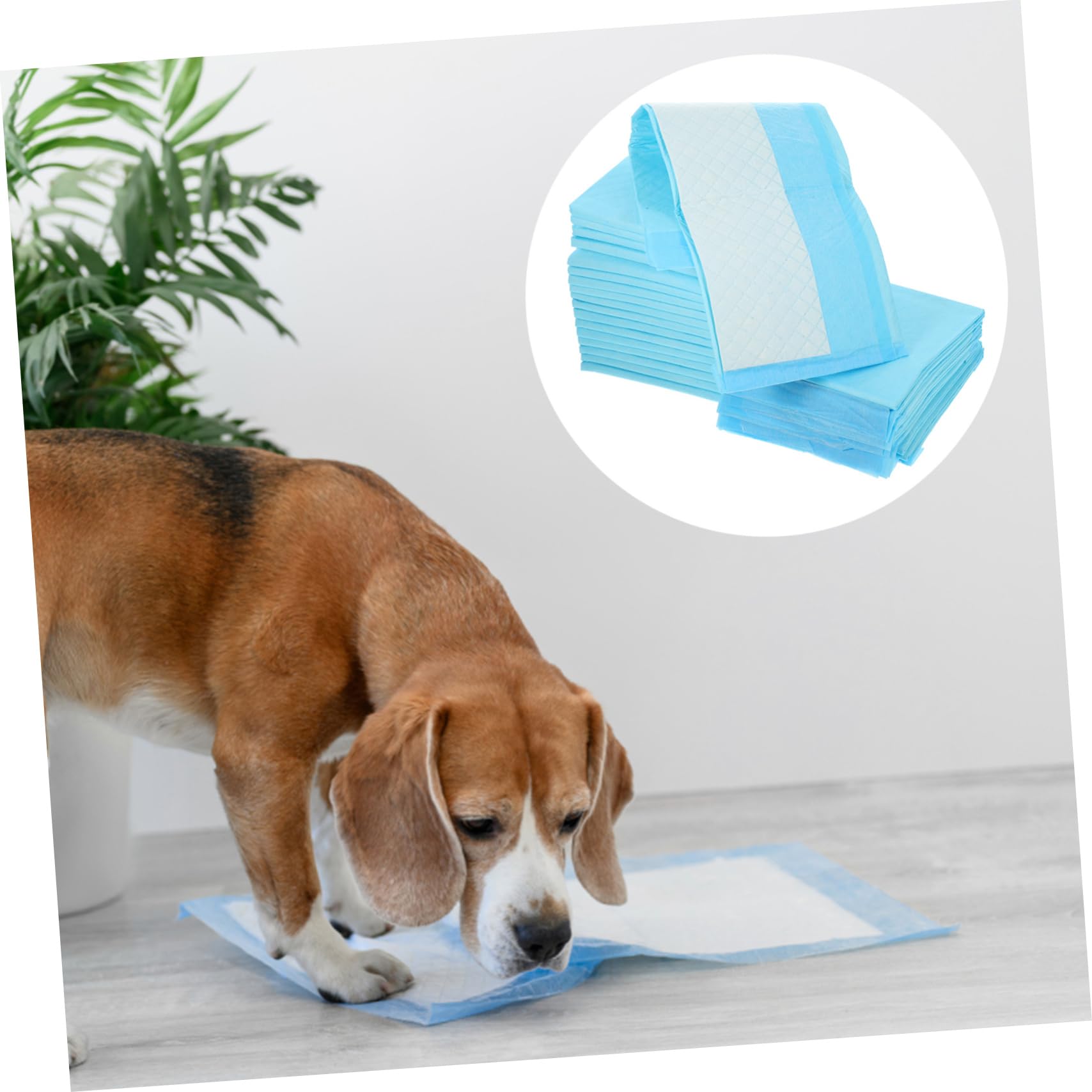 TOYANDONA Alfombrillas Sanitarias para Mascotas Absorbentes Y Resistentes Al Agua Entrenamiento para Perros Y Cachorros para Casa Y 50 Piezas*2