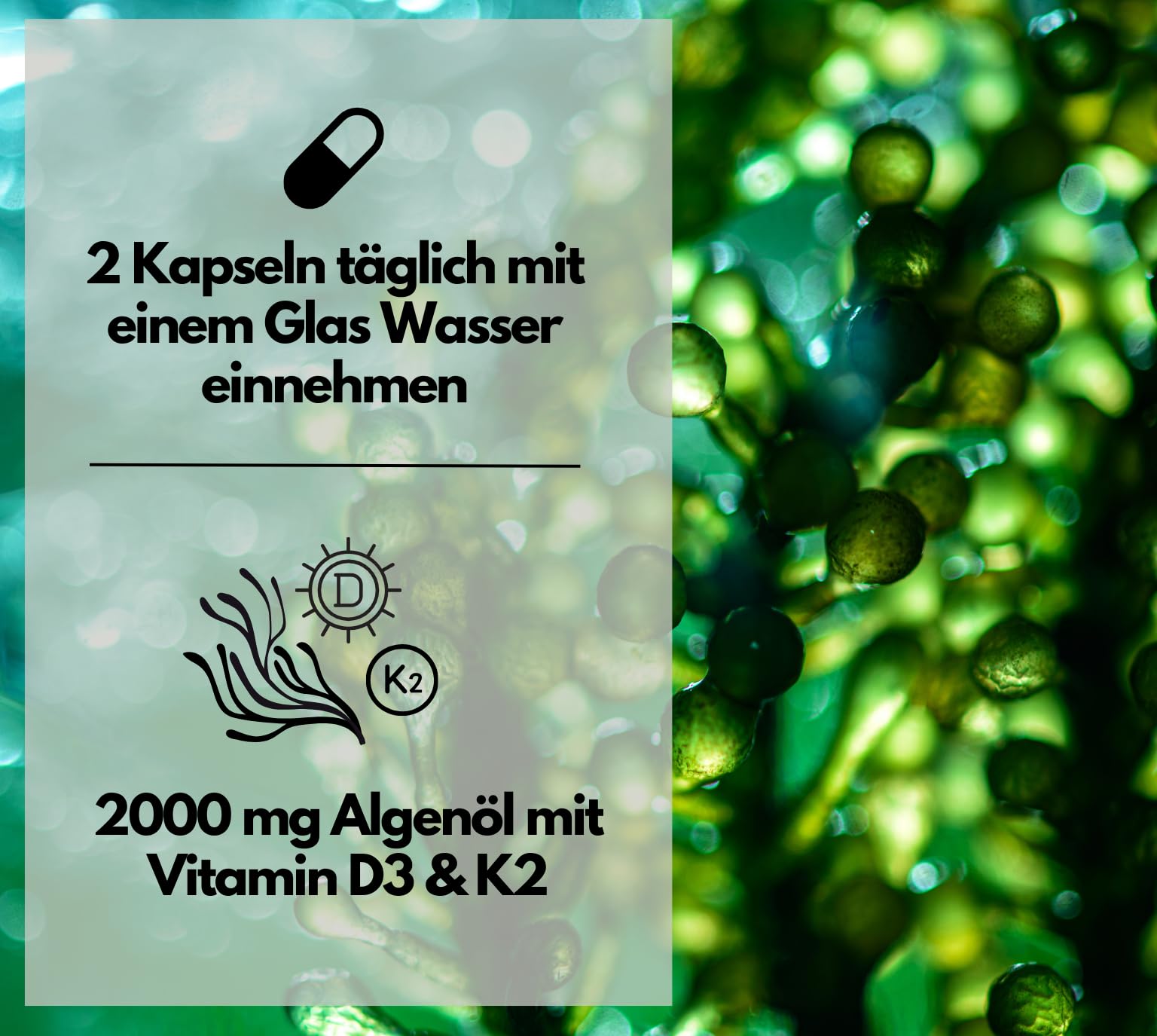 Omega 3 vegan + D3 & K2, 120 Kapseln, 1100mg Algenöl mit 600mg DHA & 300mg EPA + 1000 IE Vitamin D3 + 40 µg Vitamin K2 - O3 D3 K2, hochdosiert & laborgeprüft