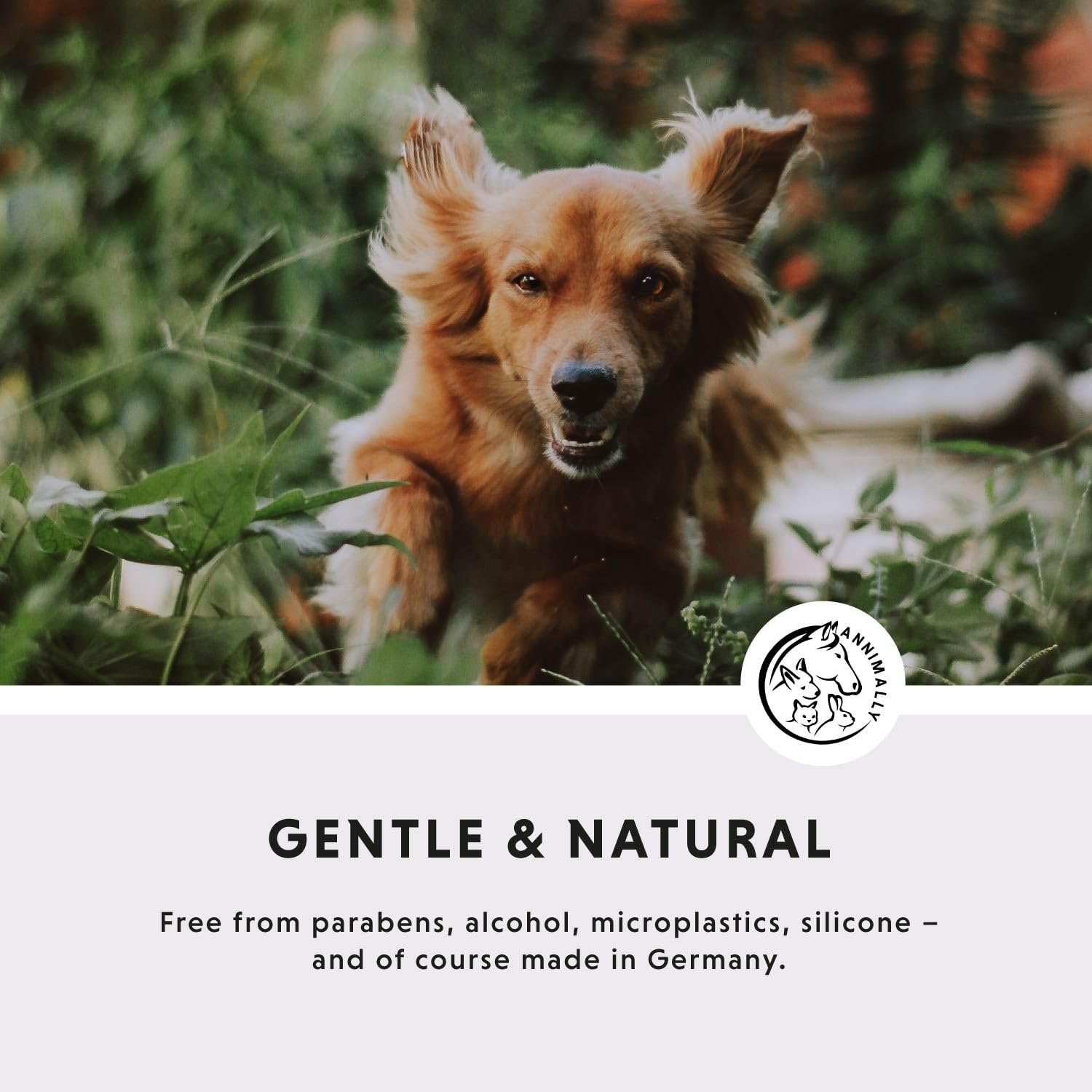 Annimally Dog ear cleaner & cat ear cleaner 250 ml, Natural dog ear drops with chamomile, calendula & propolis - Image 2