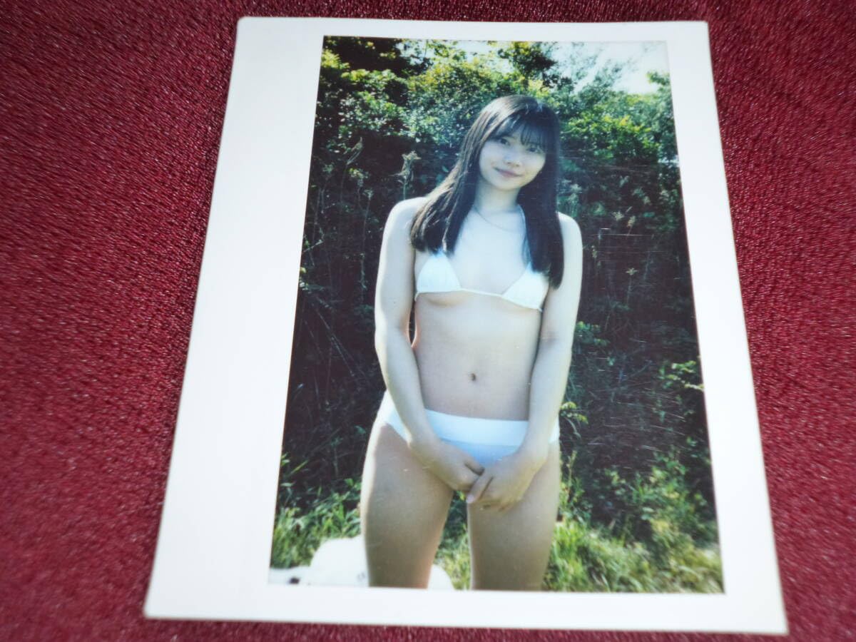 星七虹心　DVD特典のみ　サイン入ワイドチェキ1枚とB5ポートレート2種　未開封 星七虹心 DVD特典のみ サイン入ワイドチェキ1枚とB5ポートレート