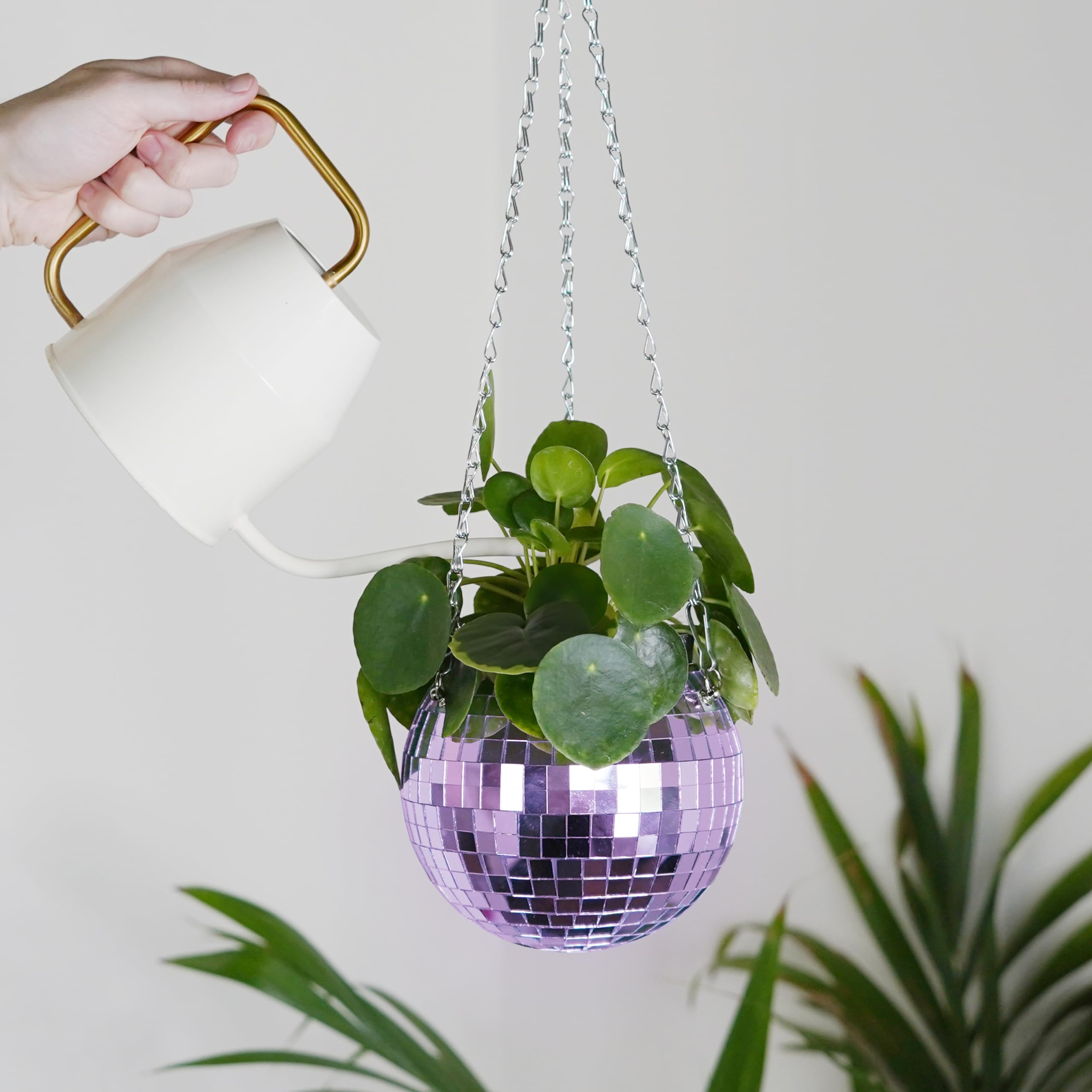 Amazon.com: Bubblegum Stuff Disco Ball Hanging Planter: Lilac Edition -  Hanging Planters for Indoor Plants - Spherical Shaped Plant Pots with  Mirrored Exterior - Available in 6-inch Size : Patio, Lawn & Garden