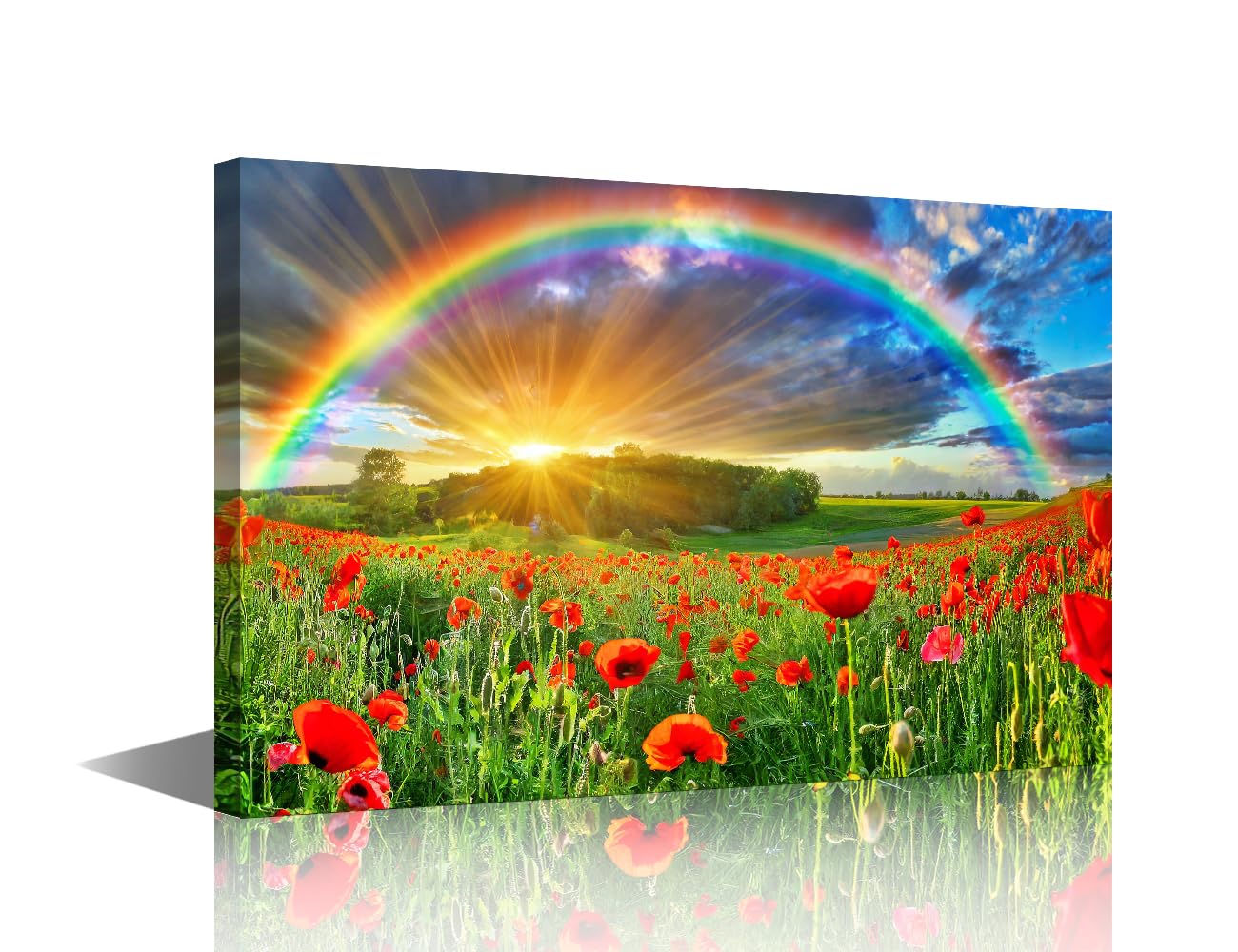 1 Piece Rainbow Wall Decorations for Decor Red Flowers Art Prints Framed Art Wall Office Decor Opium Poppy Modern Artwork for Home Living Room Canvas Art Hanging Decor Arts & Crafts