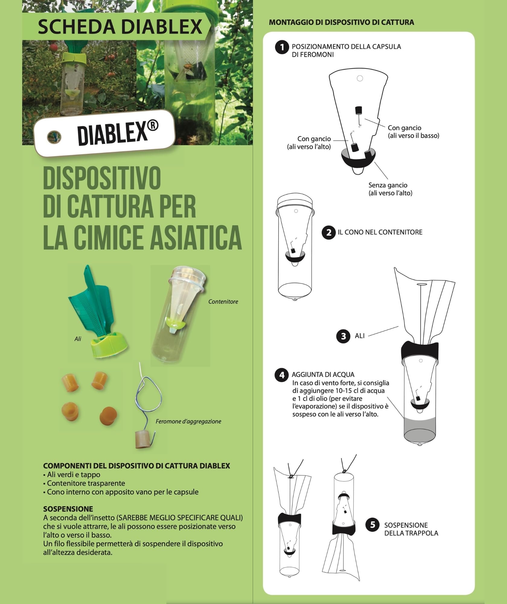 Trappola ecologica cimici asiatiche +2 attrattivo feromoni Kit Diablex
