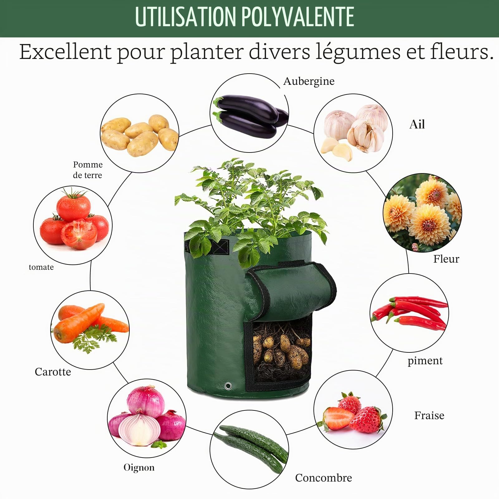 Sacs de Culture de Pommes de Terre, Lot de 4 Sacs de Culture de légumes de Jardin, Sacs à Plantes en PE avec Fenêtre et Poignées, en Tissu Non tissé Respirant pour Pommes de Terre Carottes 35 x 50 cm
