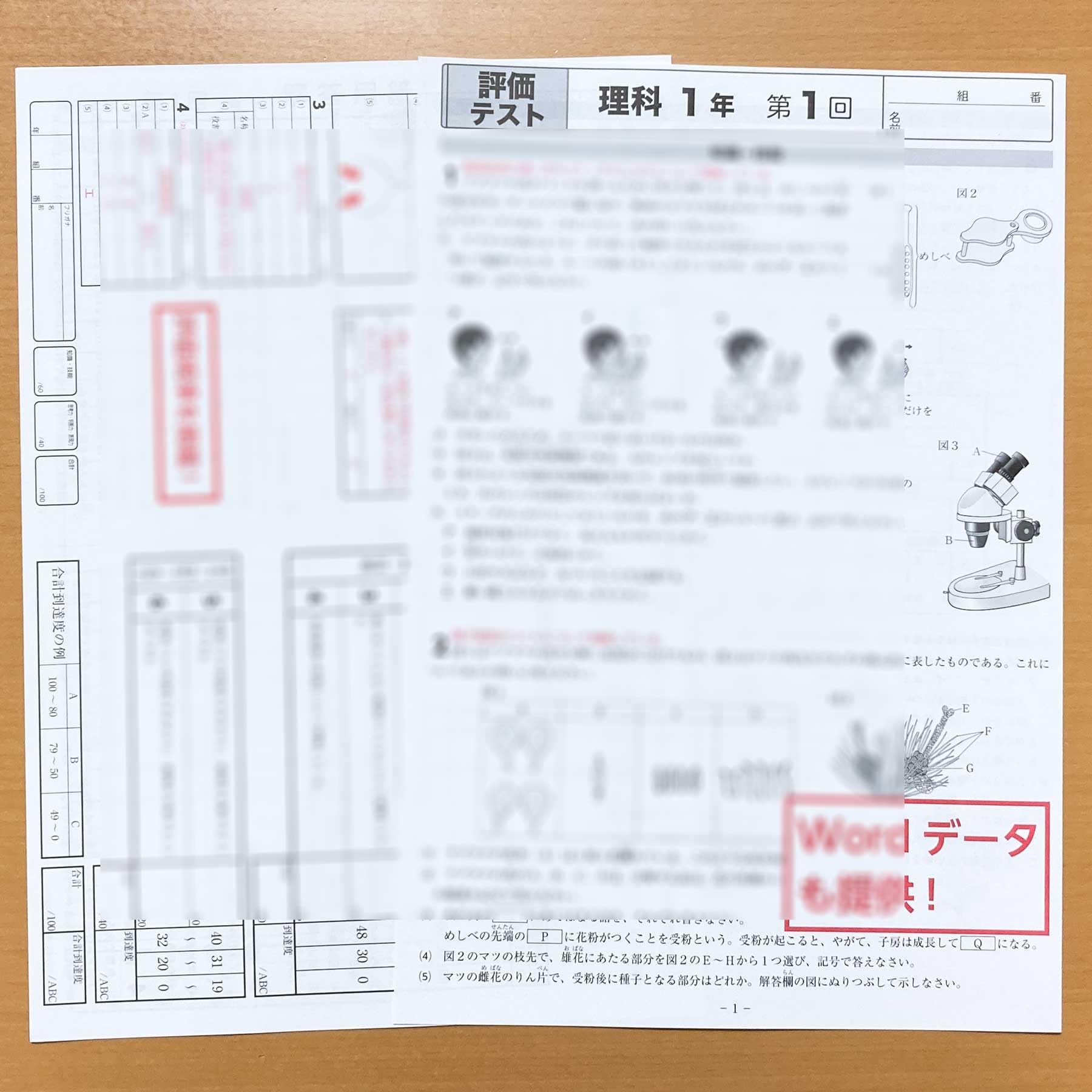 Amazon.co.jp: 2025年度版「確認から発展へ 理科1年 東京書籍版【教師