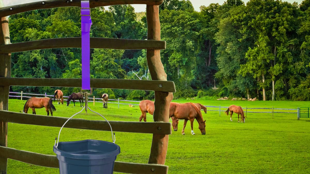 Cashel Loop-De-Loo : Sangle En Nylon Ultra Solide Pour Seau à Cheval (eau Ou Nourriture) – Noir – Neuf