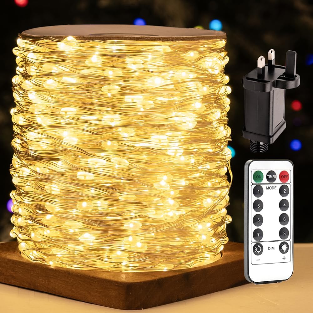 ZELUXDOT LED Fairy Lights Long Silver Wire Plug in String Lights 8 Modes for Wedding Indoor Outdoor Christmas Tree Patio Porch Garden Decoration (Warm White, 100FT/30M)