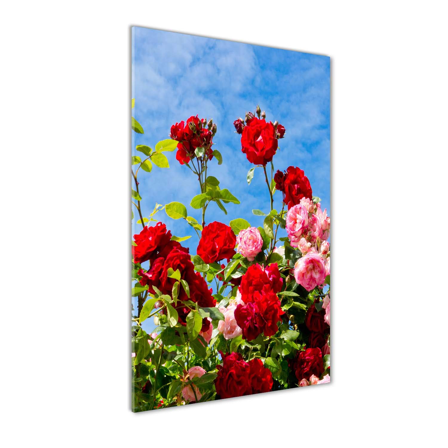 Impression sur verre acrylique rose sauvage pour un intérieur serein
