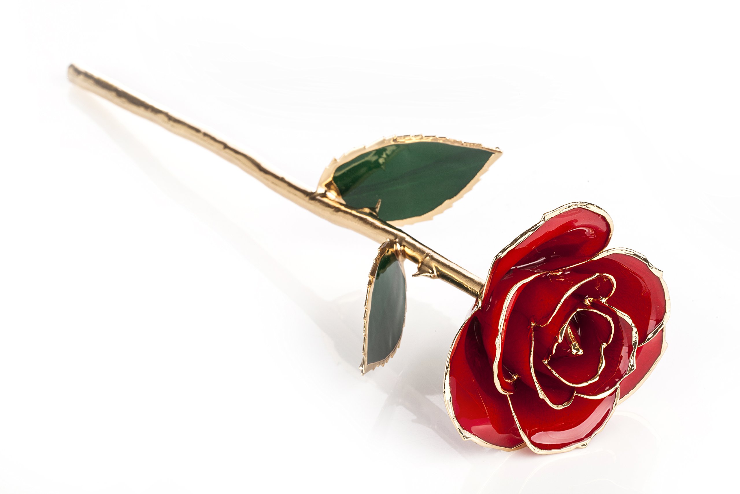 ZJchao dorados de 24 quilates Rose Rose conservadas. La Eternidad Florece