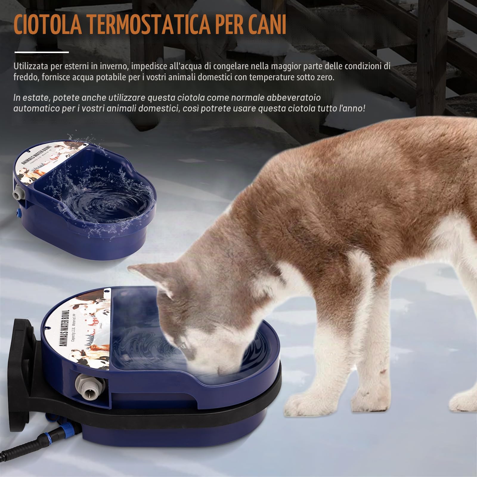 Abbeveratoio Riscaldato Per Cavalli, Abbeveratoio Per Bovini Con Valvola a Galleggiante, Termostato Automatico da 220 Volt, a Prova di Congelamento, Abbeveratoio Riscaldato Per Capre, Bovini e Cani