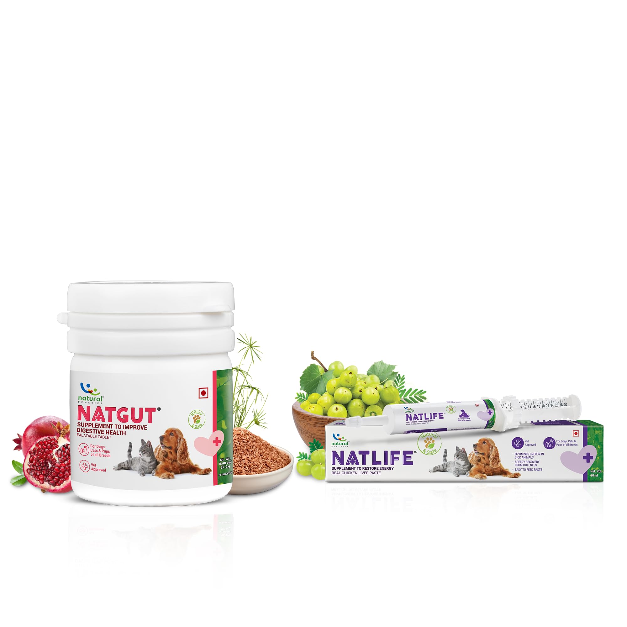 Natural Remedies Natgut Supplement to Improve Digestive Health, 9 Tablets & Natlife Supplement to Restore Energy, Real Chicken Liver Paste, 30 ml for Dogs, Cats & Pups of All Breeds - Combo Pack of 2 (B09TB537MC) Amazon Price History, Amazon Price Tracker