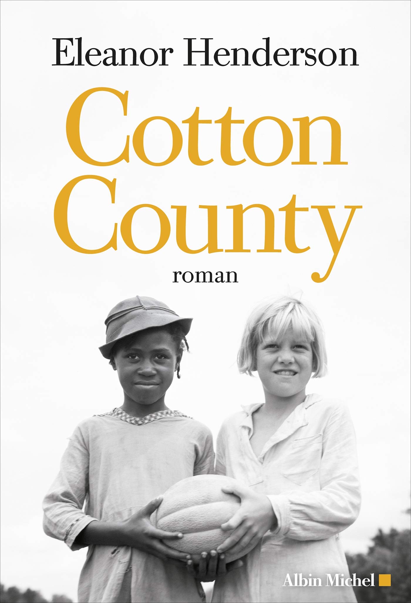 Cotton County (Terre d'Amérique) (French Edition)