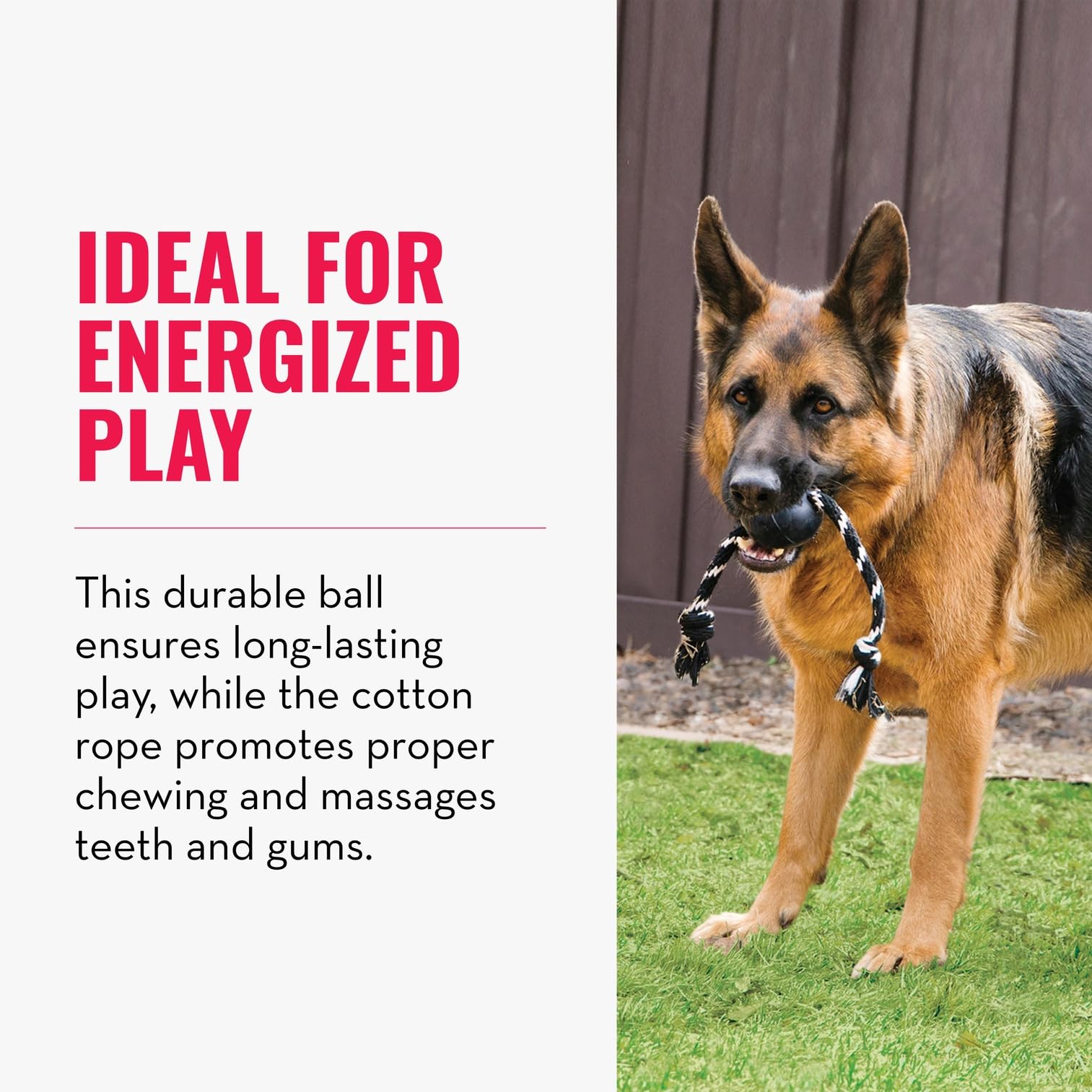 KONG Extreme Ball avec Corde - Jouet De Récupération pour Chien en Caoutchouc Naturel Durable avec Corde pour Lancer Facile - pour Grands Chiens - Noir