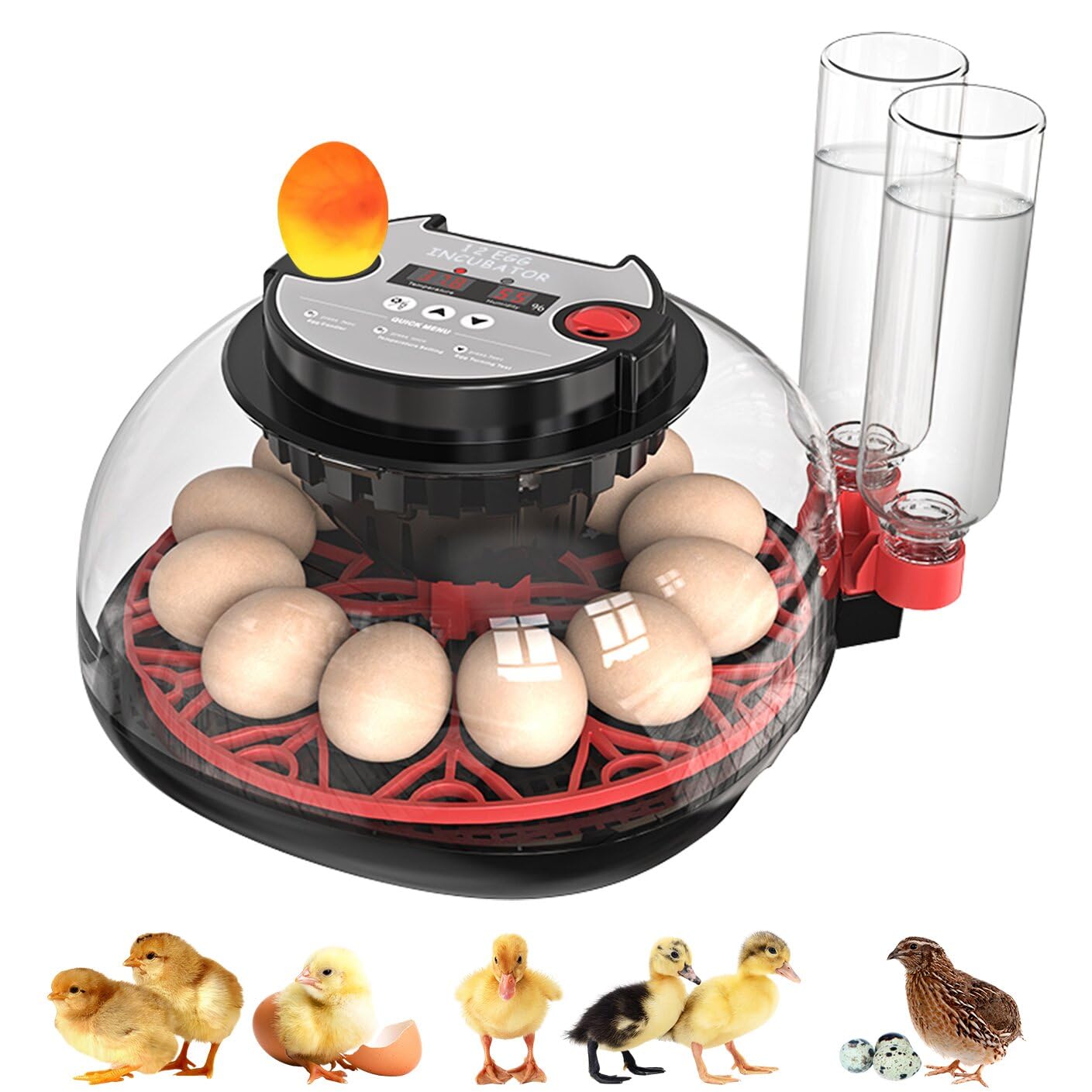 Incubadora Huevos Gallina ncubadora Automática de 12-24 Huevos | con Volteo Automático de Huevos y Humidificación Automática,Control de Temperatura,Incubadora para Huevos de Gallina,Codorniz