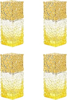 Minkissy 4 Pcs Frascos de Perfume de Perfume de Perfume de Perfume de Perfume por Viagens de Perfume por Viagens Óleos de Viagens de Viagem para Viagens Ao Ar Livre Dourado