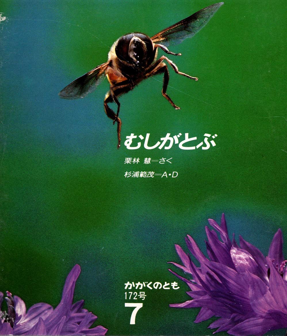 栗林慧全仕事 改訂新版 栗林慧｜本、雑誌