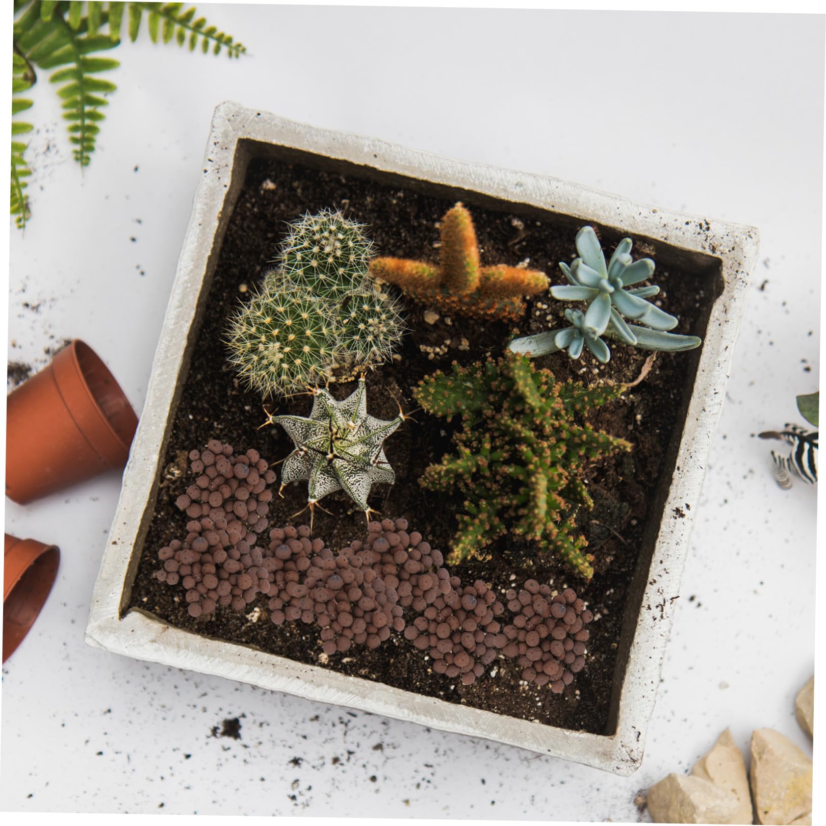 Céramsite pour Plantes en Pot, Matériau Respirant et Capacité Stable en Eau, 2 Paquet de 1000g pour Jardin et Maison, Fournitures Plantation de Fleurs