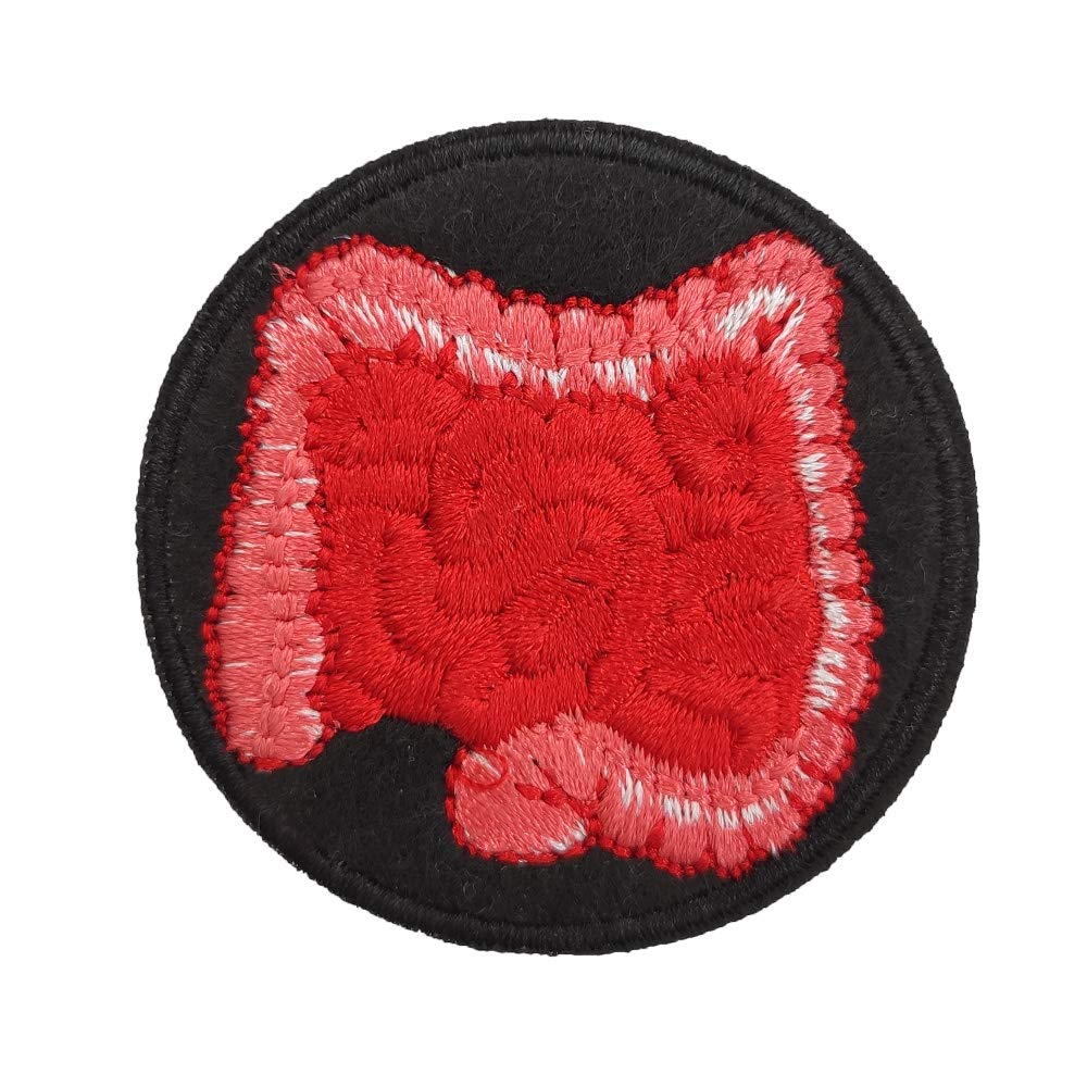 Cute-PatchAnatomical Intestine Embroidered Iron on Patch Internist Doctors Puck Rock Goth Gothic Gifts