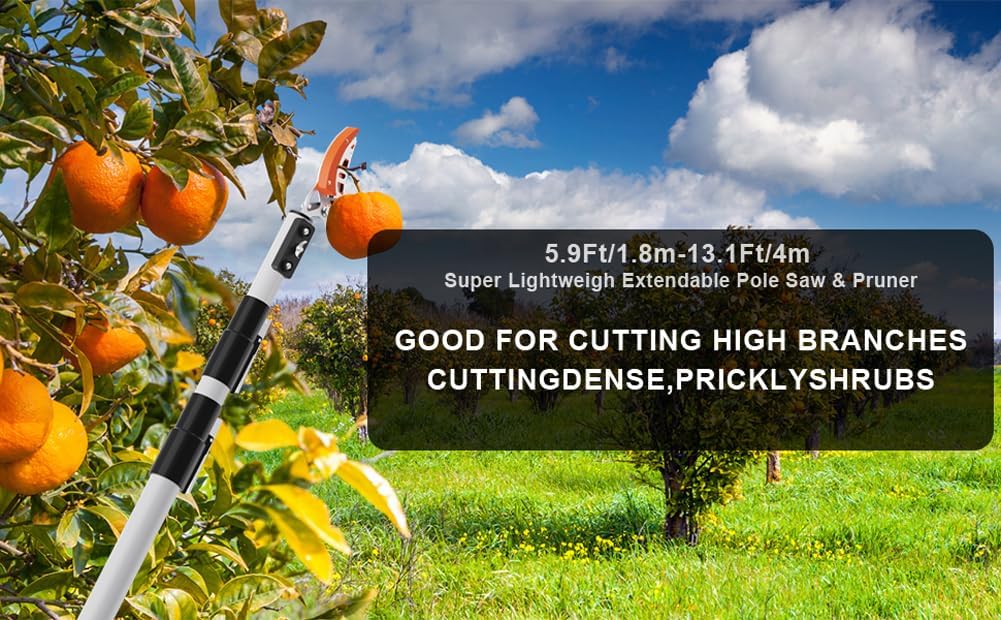 2 in 1 Tree Pruner & Pole Saws for Tree Trimming, The Pruner Head Used to Trim Small Branches and Fruit Picker, The Saw Blade Used to Cut Thick Branches. 5.9ft/1.8m-13.1ft/4m Extendable.