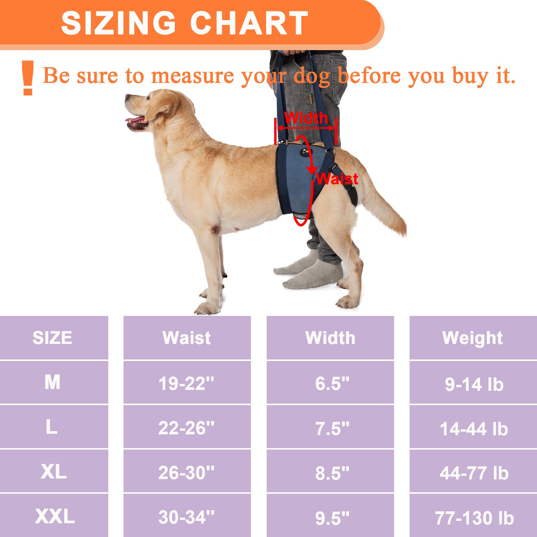 https://m.media-amazon.com/images/I/71ZylWYRIRL.jpg