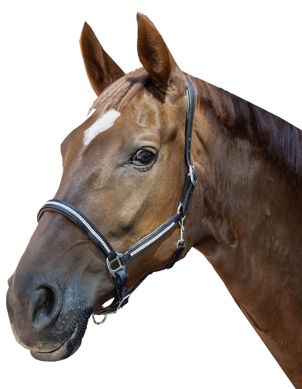 HKM Diamond Cabestro De Cuero Warz Pony