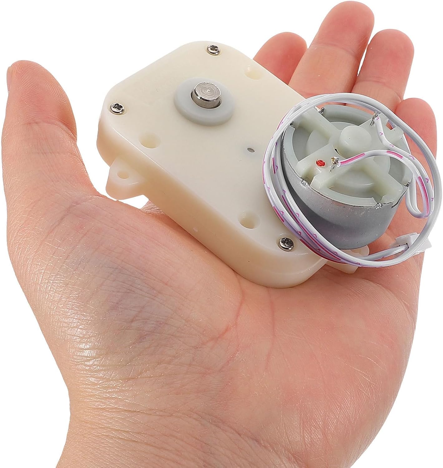 Holibanna 2PCS Winder Equipment Motor: Chain Test Motor - Electrical Winder Replacement - Automatic Chain Table Accessories for Watch