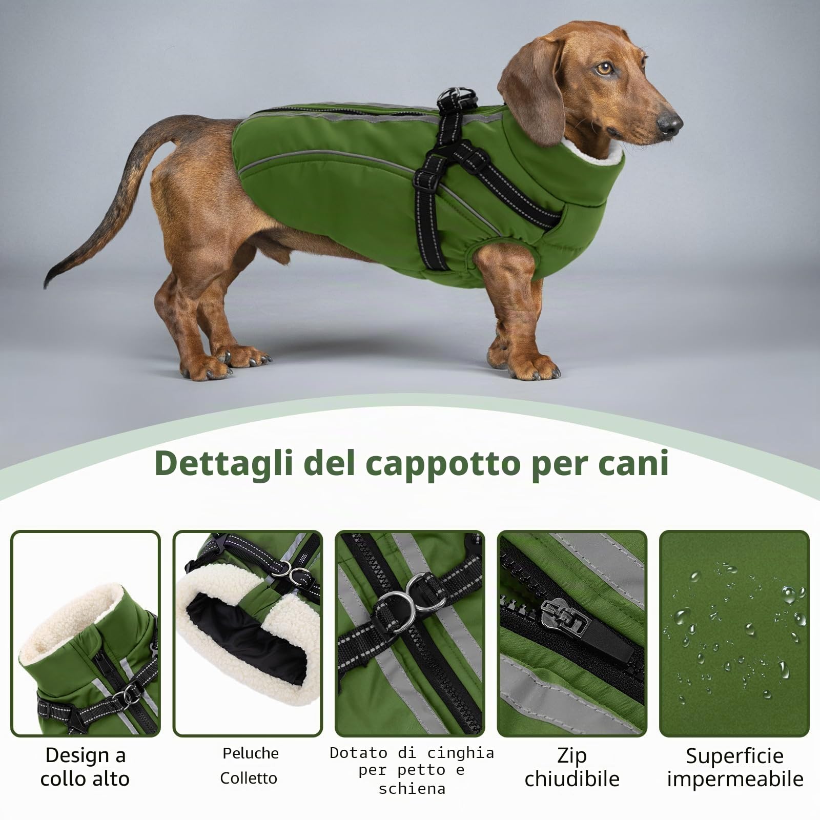 CITÉTOILE Cappotto Invernale per Cani Impermeabile - Giacca Termica Antivento con Foro Riflettente e Anello D, Adatto a Taglie Piccole/Medie/Grandi, Verde, XXL