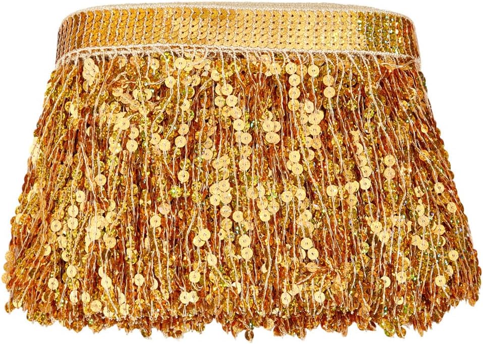 MAYJOYDIY 11 Yards Gold Sequins Fringe Trim 6.69 Inch Sparkling Fringe Tassel Trimming Sequin Tassels Sewing Decoration for Latin Dress Stage Costume Sewing Crafts Party Decoration