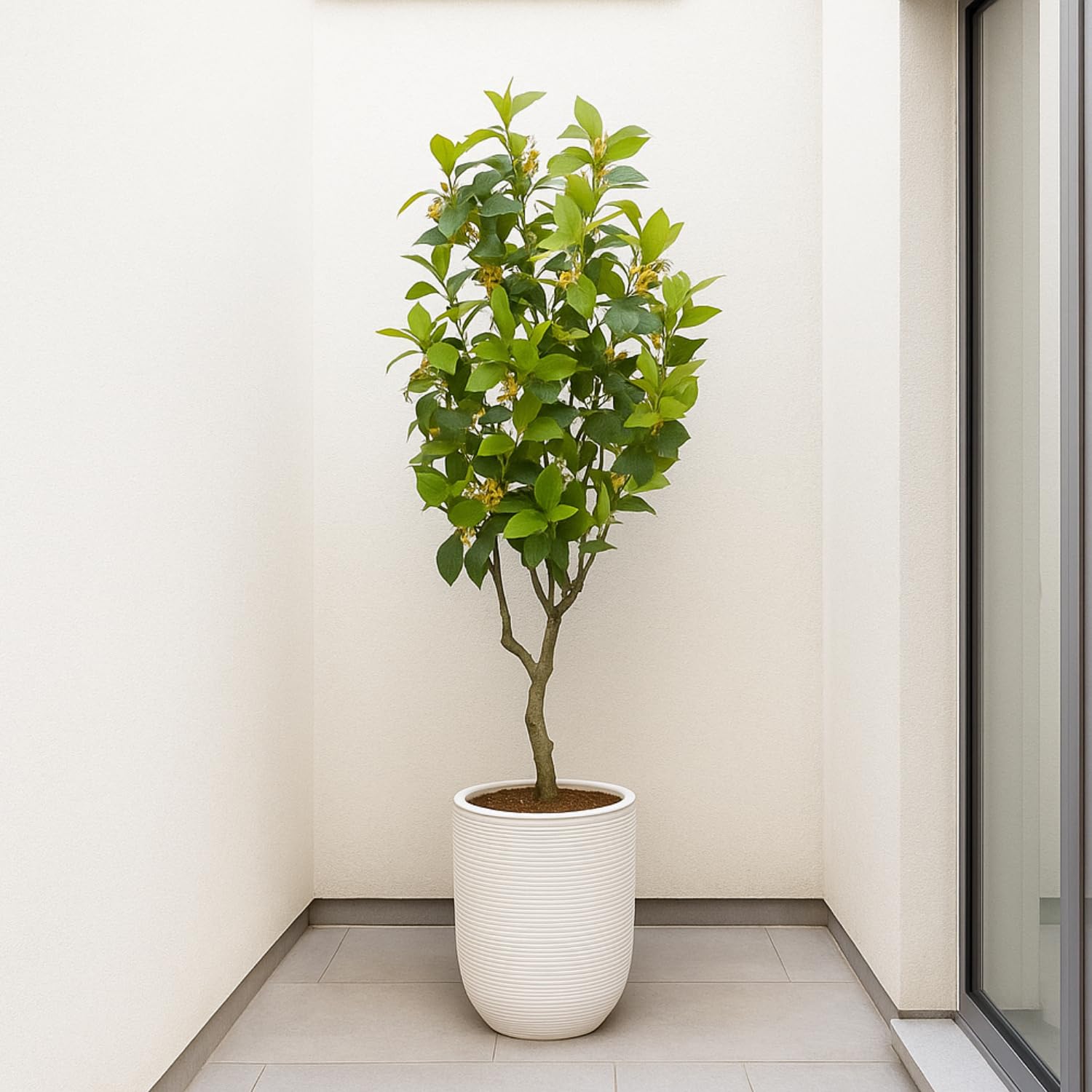 Bonerva | Limón Deco 135 cm Altura | Planta Artificial para Decorar Interiores: hogares, Negocios y hoteles | Sin Mantenimiento