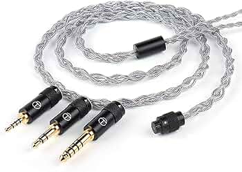 71Zyun1jZBL._AC_UF350,