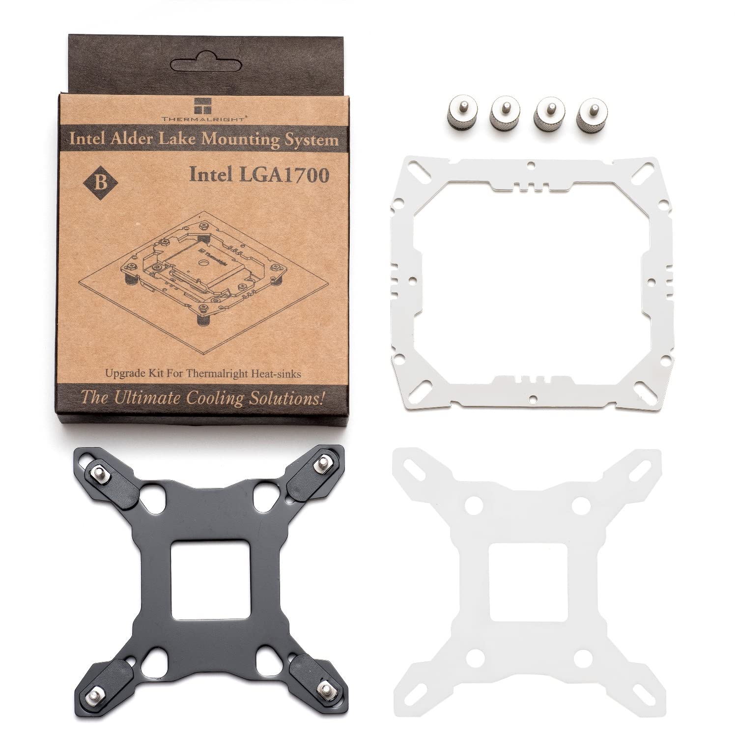 ラットリタイア【351g〜】10匹set ラットリタイア【351g〜】10匹set ラットリタイア【351g〜】10匹