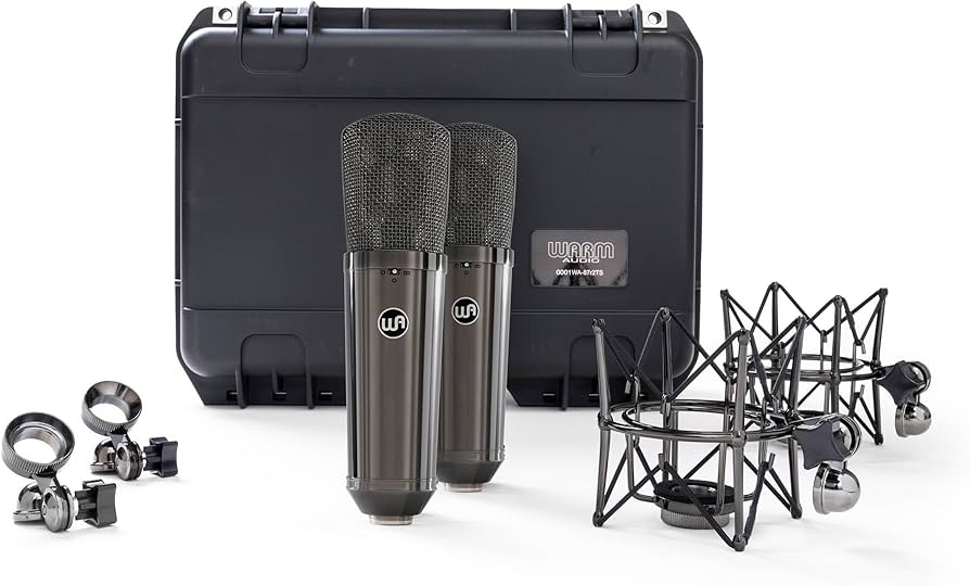 Amazon.com: Warm Audio WA-87 R2 TS Large-Diaphragm Condenser