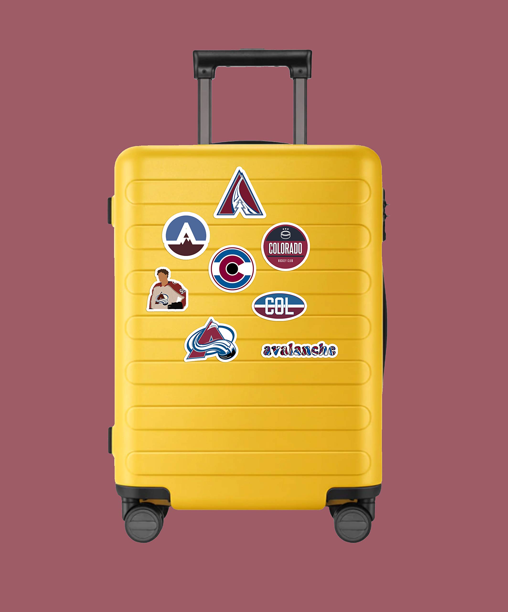 Amazon.com: 30 件組科羅拉多州乙烯基Avalanche 貼紙包科羅拉多州貼花雪崩5.1-7.6 公分: 運動和戶外活動