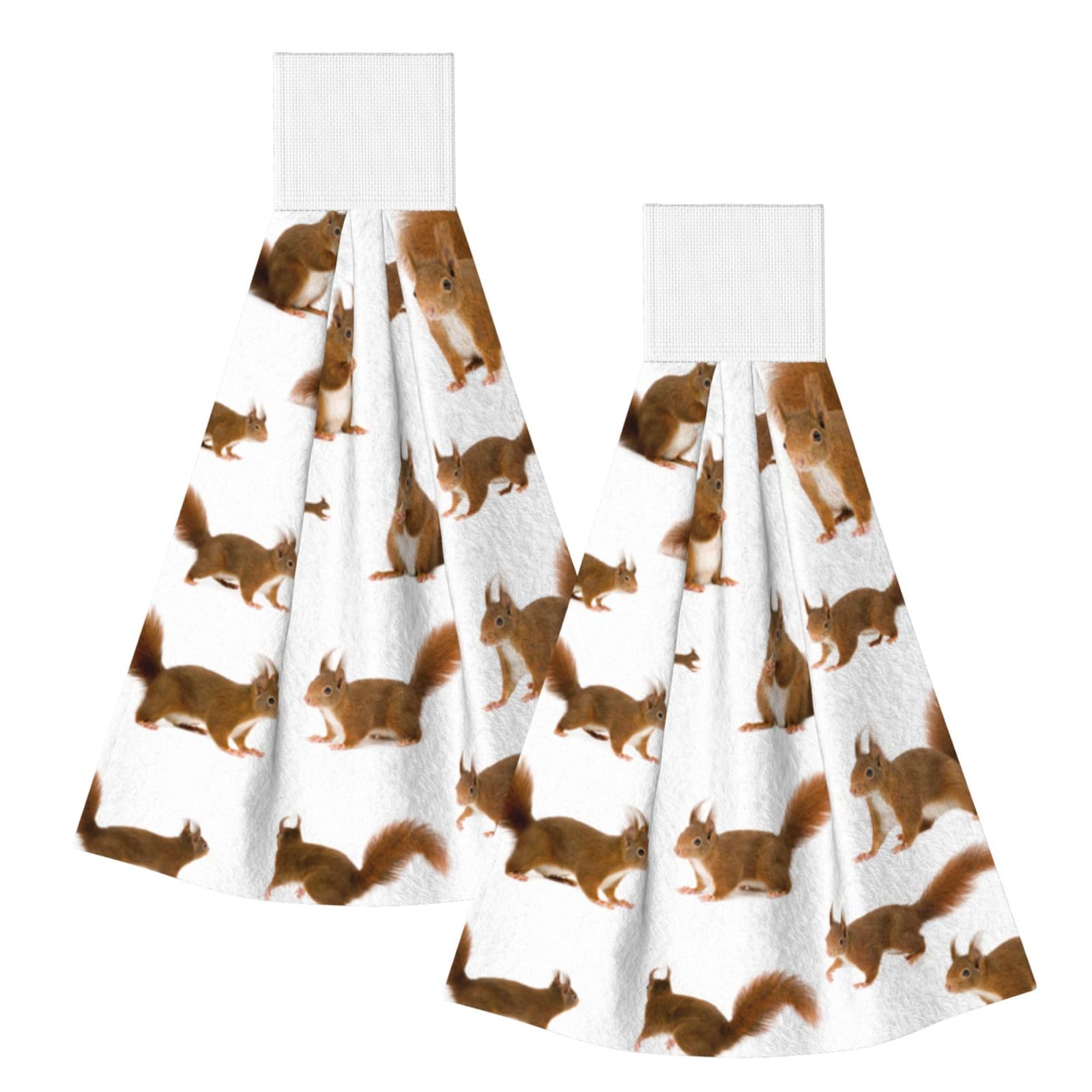 DOPKLNA Cute - Cute Squirrel, 2 Pcs Hanging Coral Fiber Hand Towels for Bathroom, Absorbent Kitchen Towels