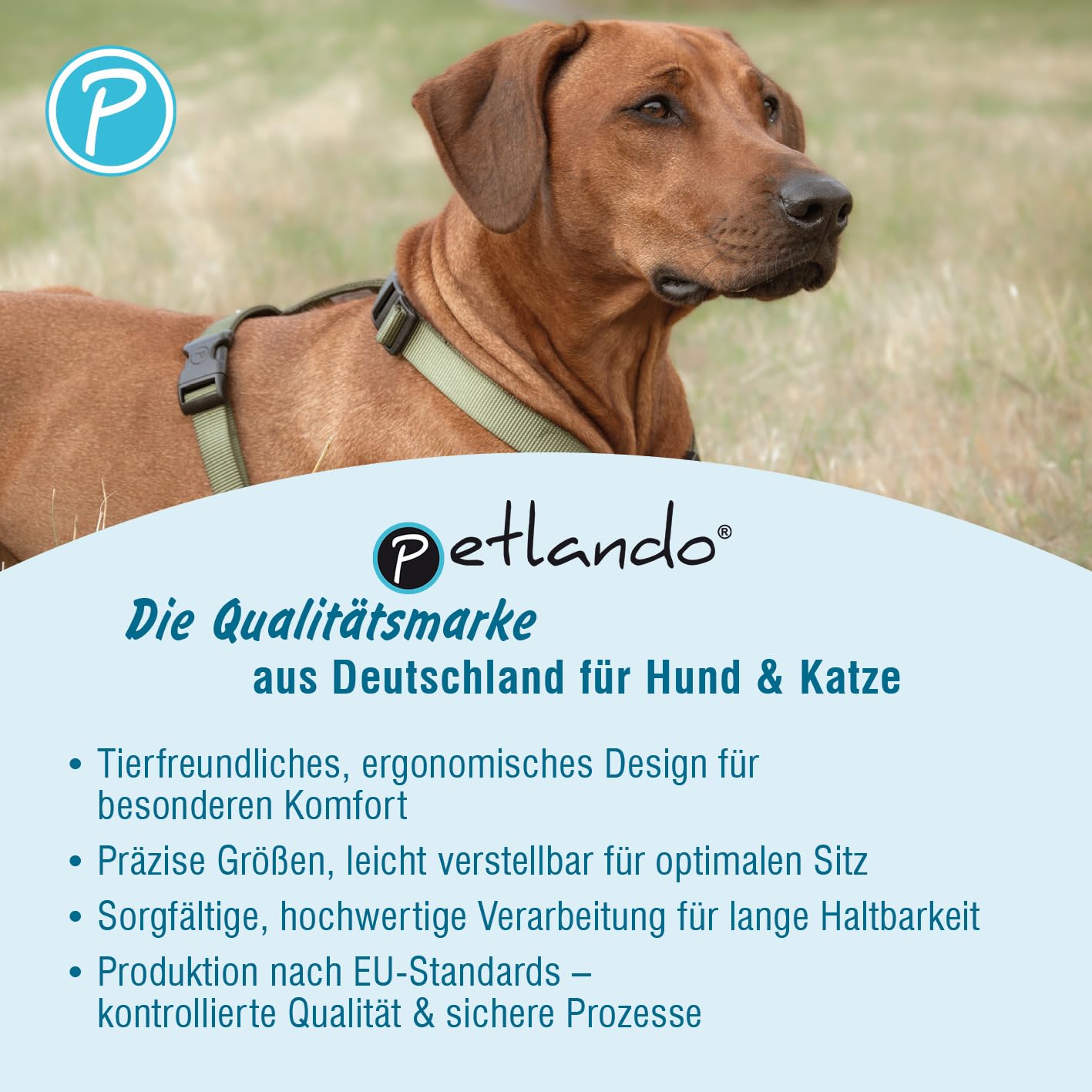 Petlando Hundegeschirr leicht anzulegen, Ohne Über-Kopf-Ziehen, Brustgeschirr stufenlos verstellbar, robust, komfortabel & pflegeleicht, Basic Comfort Geschirr für mittelgroße Hunde, Champagner, M