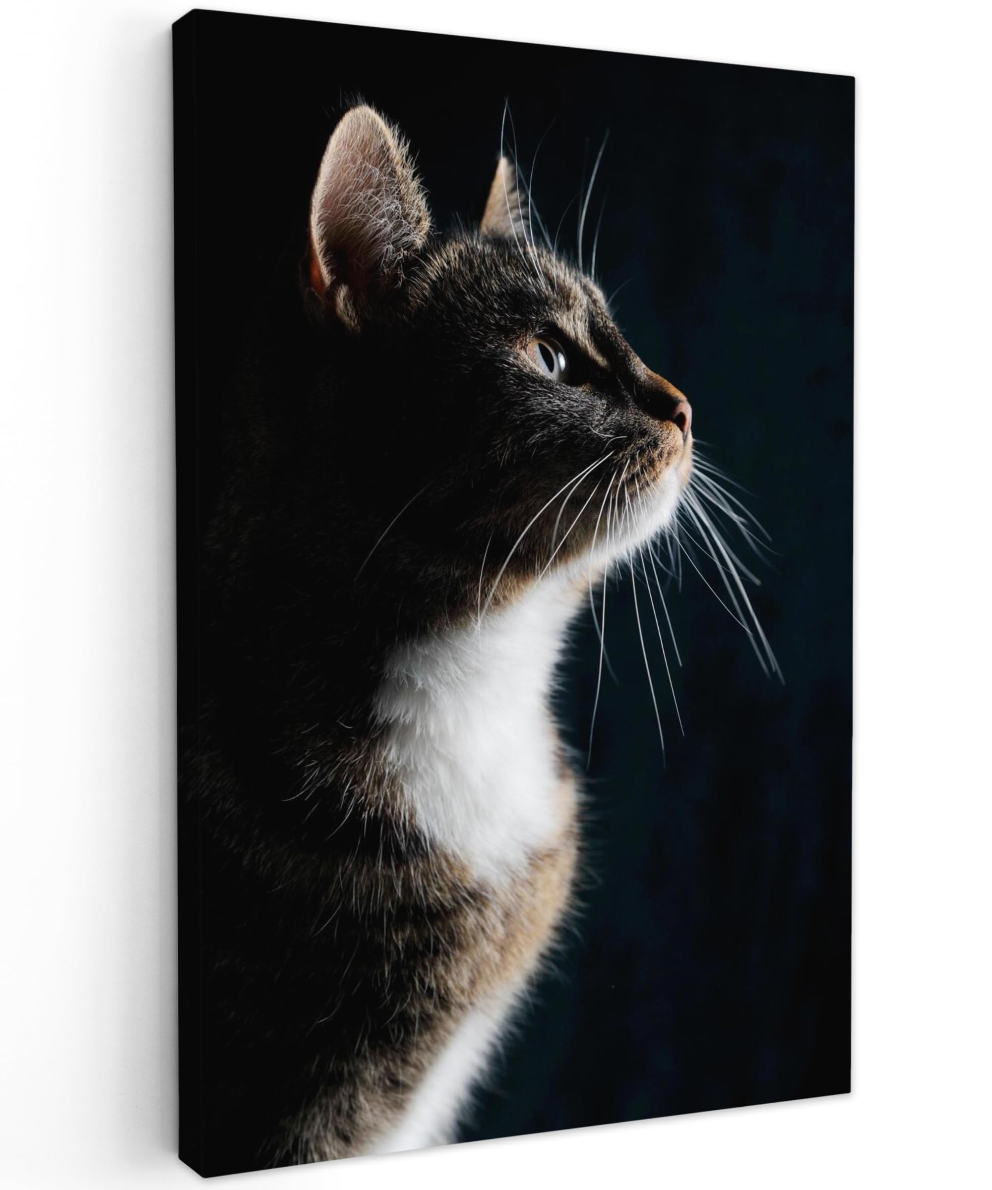 Lily's Home Katzen-Bilderrahmen Aus Holz – 22,9 X 30,8 Cm, Mit Herzförmigem Foto-Slot & Staffelei-Ständer