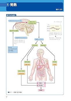 緊急度・重症度からみた 症状別看護過程+病態関連図 第3版