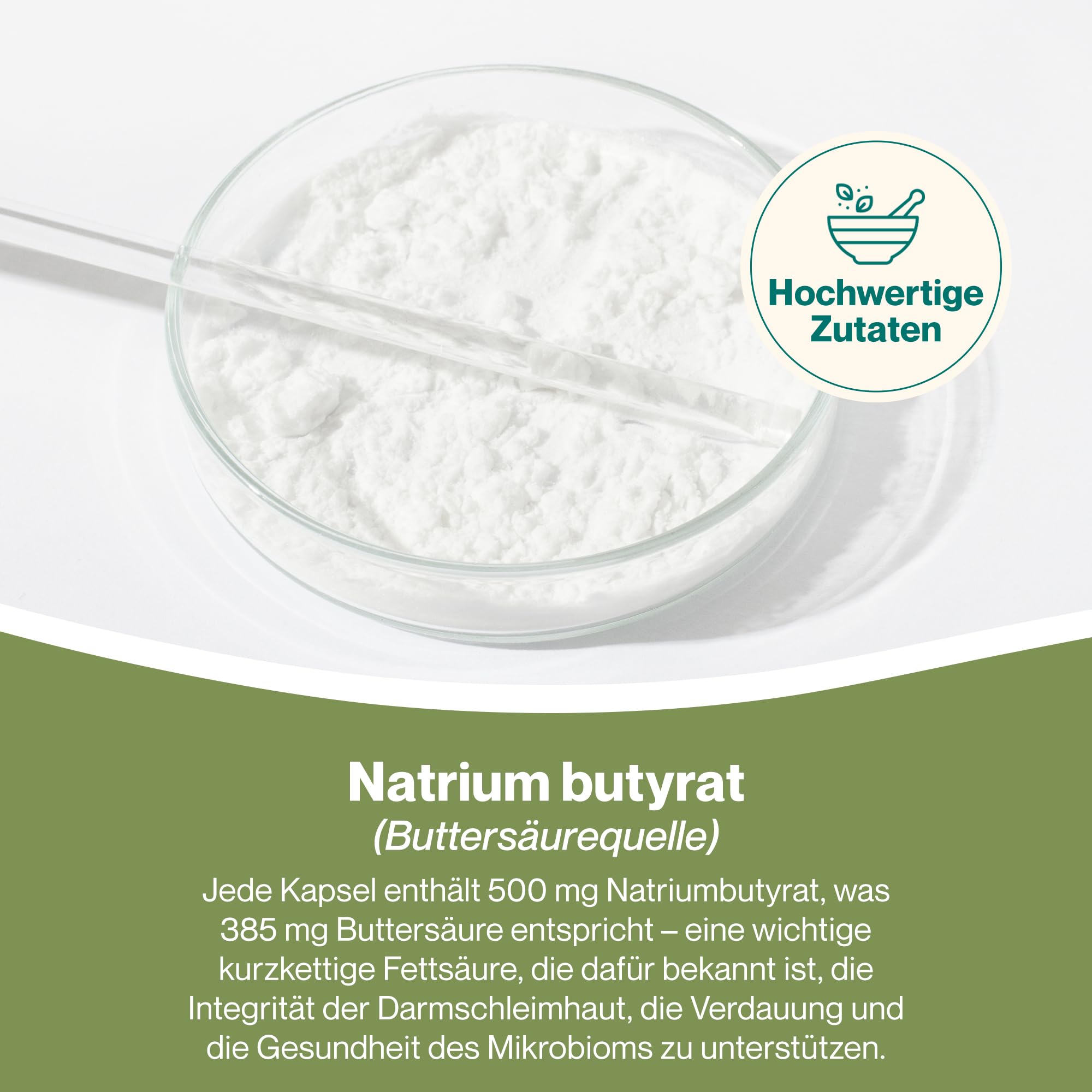 Hepatica Natriumbutyrat 500 mg | liefert 385 mg Buttersäure | 90 vegane Kapseln | GMP & Laborgeprüft