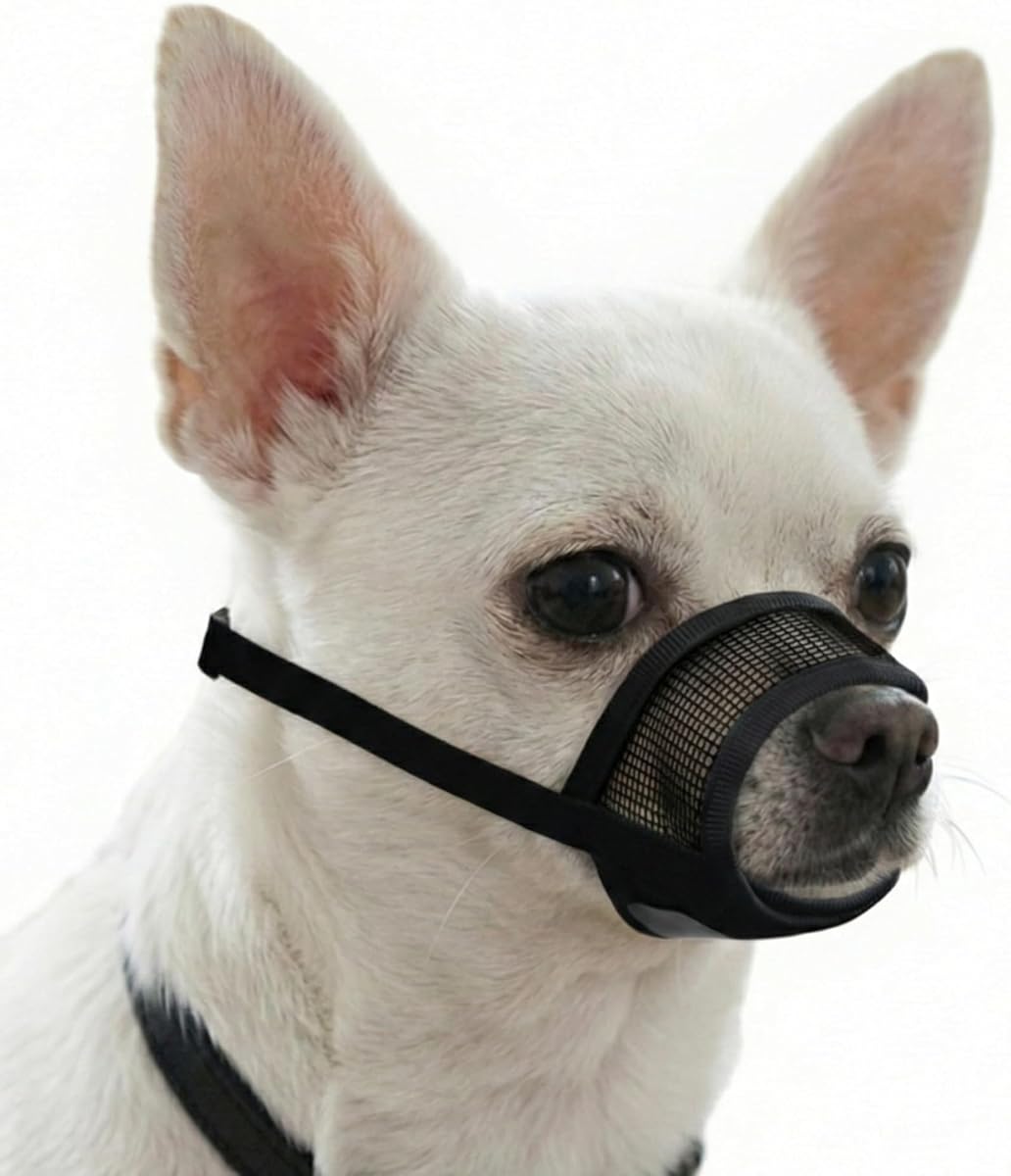 Bozal para perros pequeños - Bozal para perros pequeños de malla de aire suave | Perfecto para prevenir ladridos y mordeduras | Los mejillones para cachorros para el cuidado permiten jadear y beber