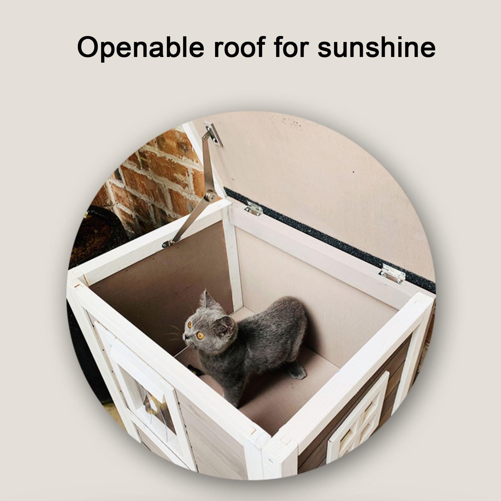 Kattenhuis Met Zonnedak Aantrekkelijke prijzen bij