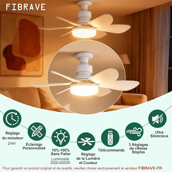 Ventilateur de Plafond avec Lumière et Telecommande, 52CM, Variateur 30W 1800 Lumen 3000-6500K 3 Couleurs & 3 Vitesses, avec Douille E27, Petit Modèle pour Chambre, Cuisine, Salle de Bain(Blanc) - 2